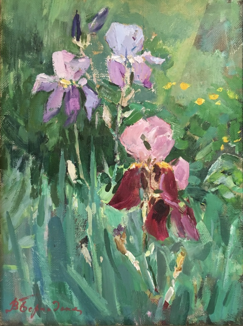 bernadskiy-irises-bloom