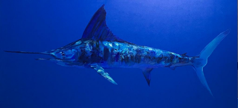 gudzikevich-blue-marlin